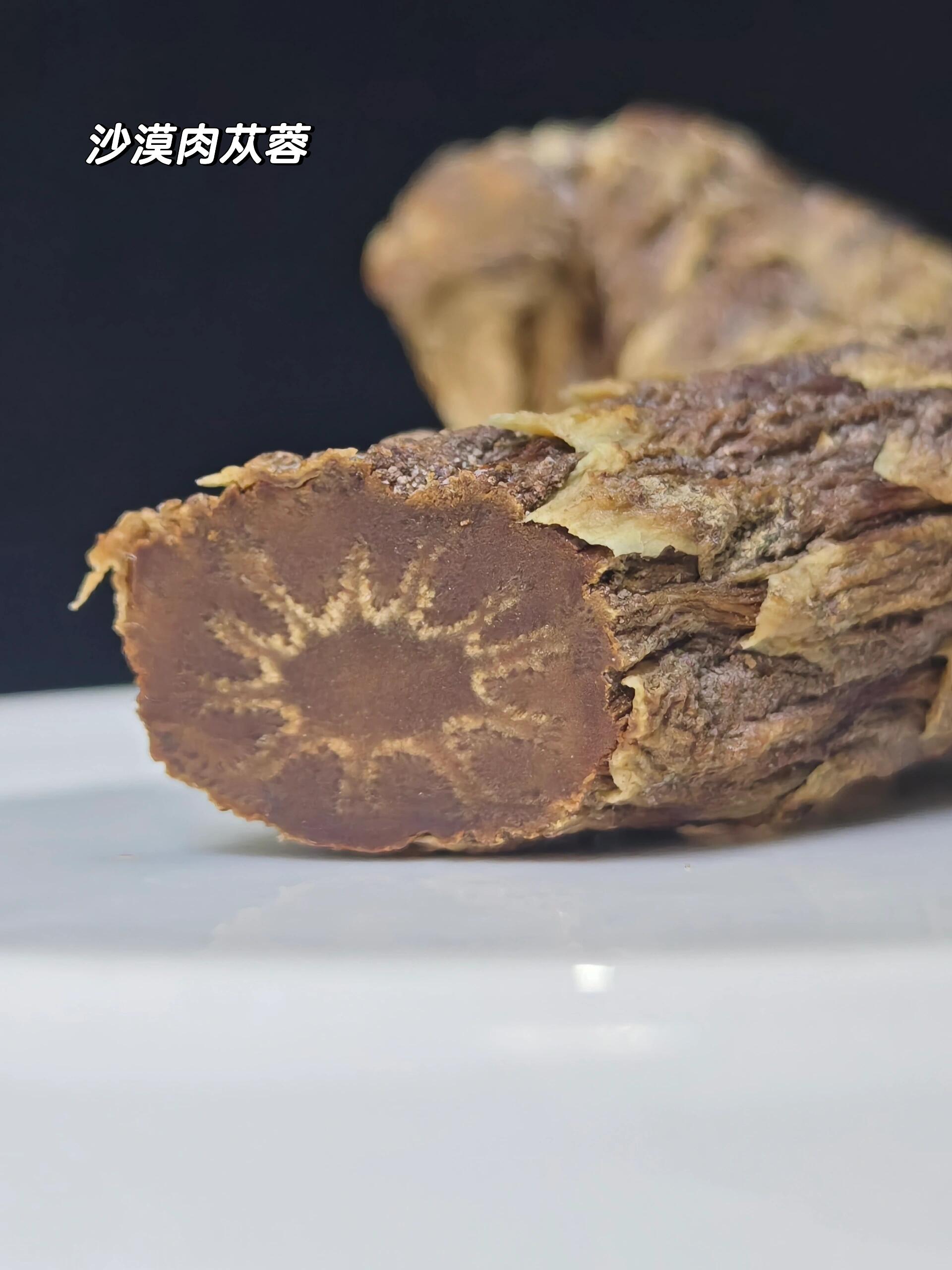 沙漠肉苁蓉和管花肉苁蓉的区别 阿拉善肉大蓉和管花肉大蓉的区别?
