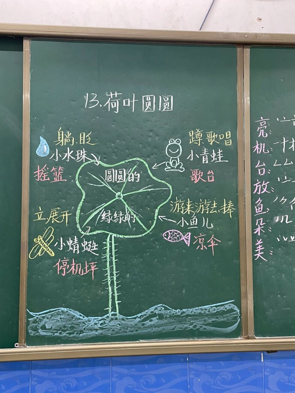 13《荷叶圆圆》板书设计