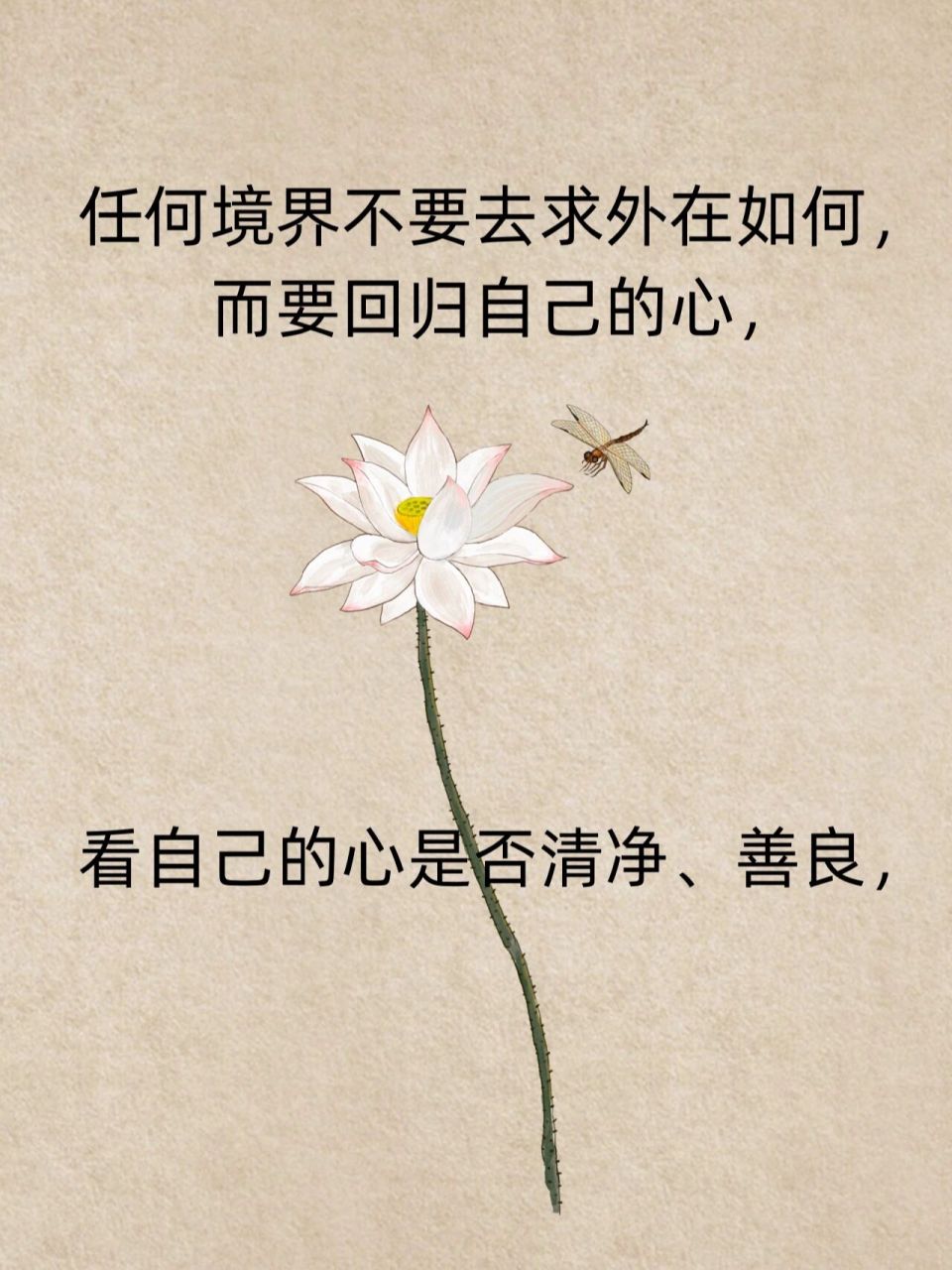 回归自己的心: #禅悟人生