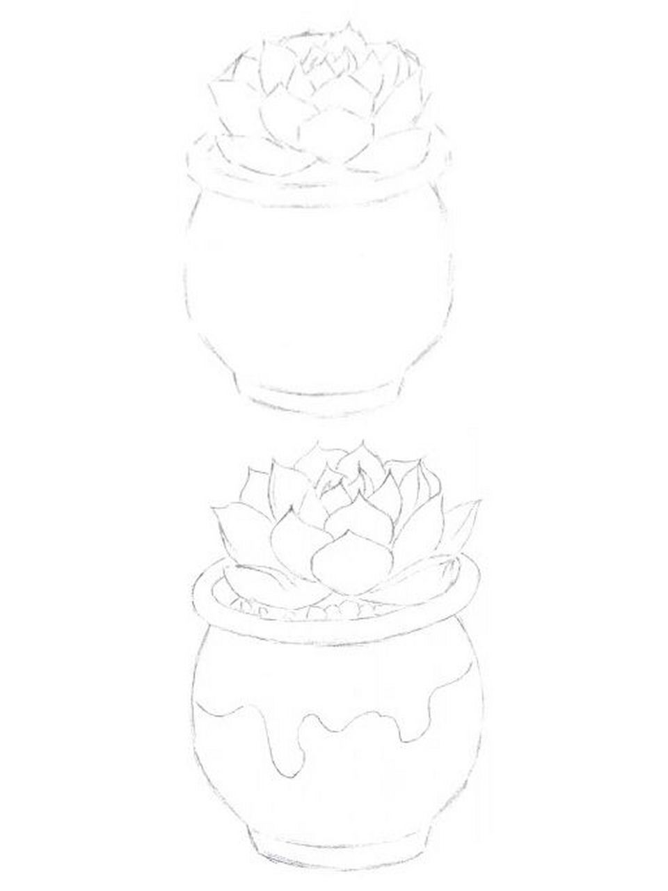 hb铅笔画出外形,勾勒出具体形状,完成起形. 2.