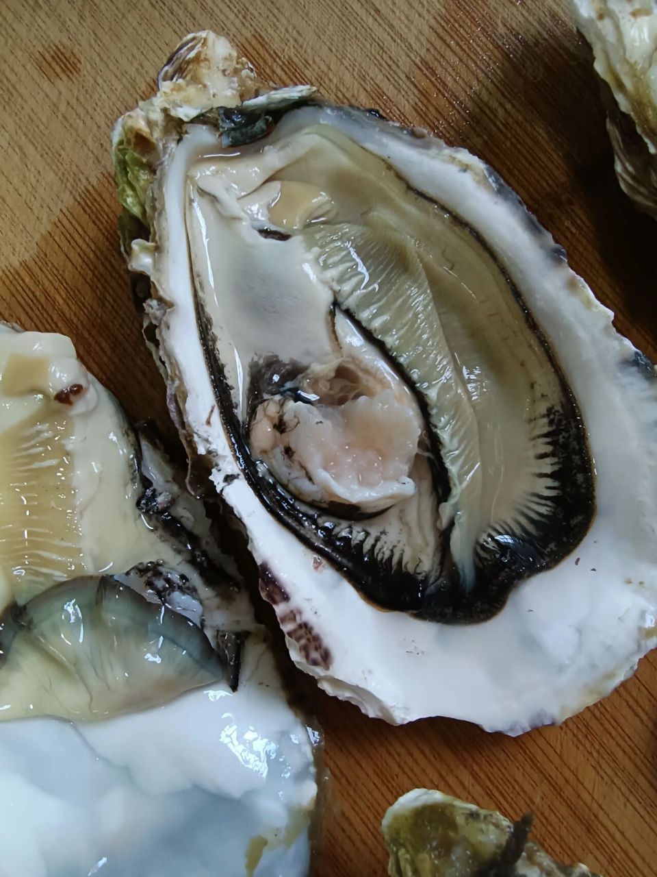 没有明显的异味 第2,3张图的生蚝看起来是没问题的,不过应该也不是很