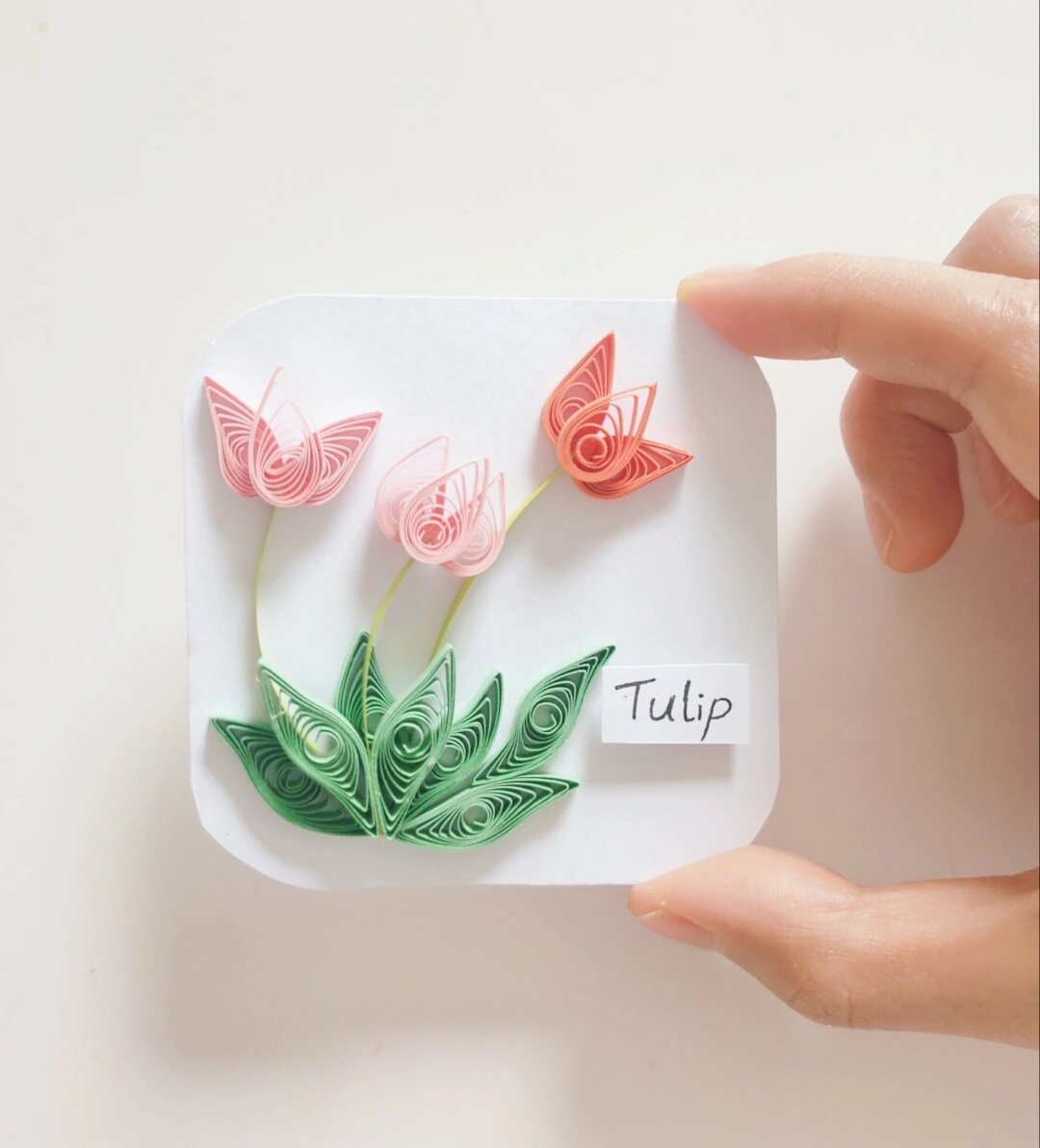 【衍纸91教程】郁金香tulip93