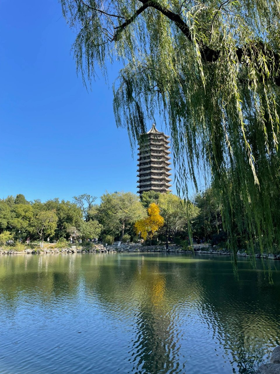北京大学秋天美景 金秋十月秋景美不胜收!