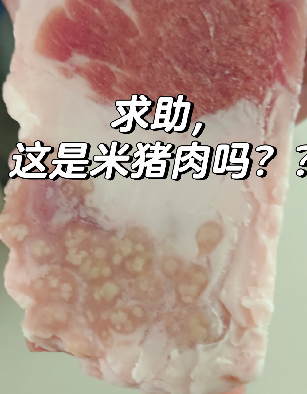 求助!这是米猪肉吗?