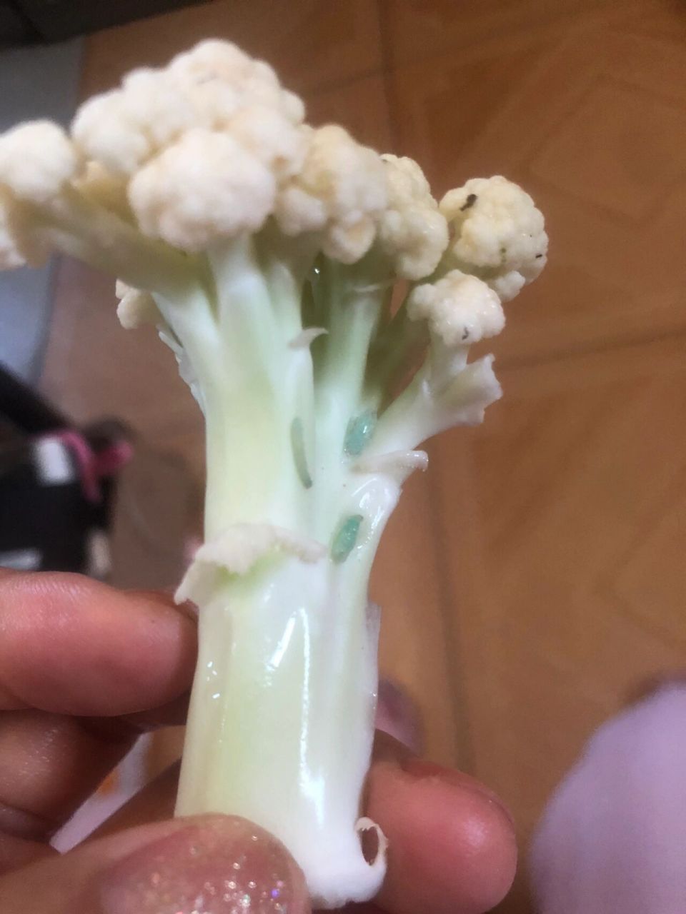 菜花上好多这样的虫子9105 还能不能吃?