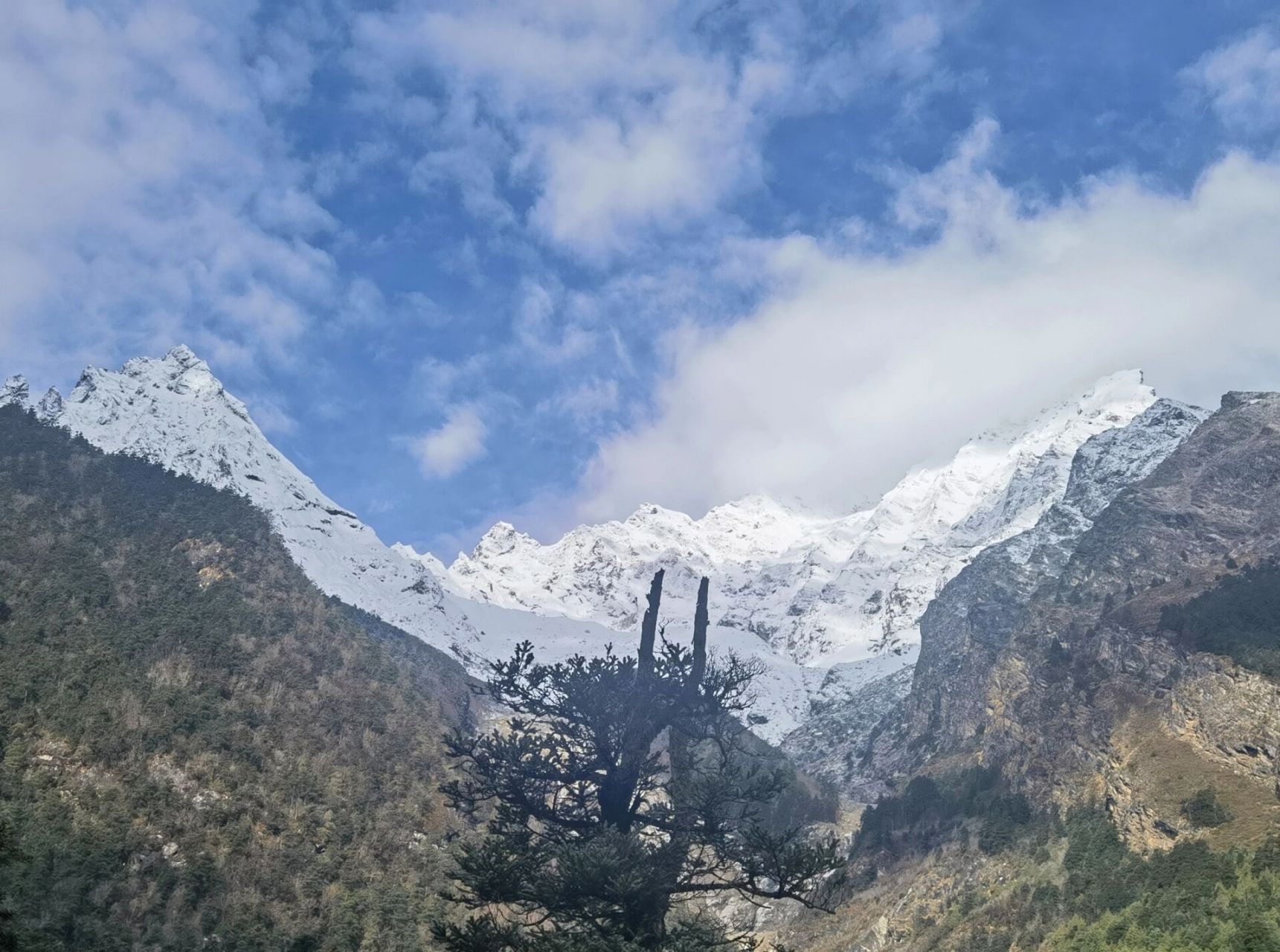 从5200多海拔的孔唐拉姆山口到2700多海拔的吉隆镇,只有80多公赖哪