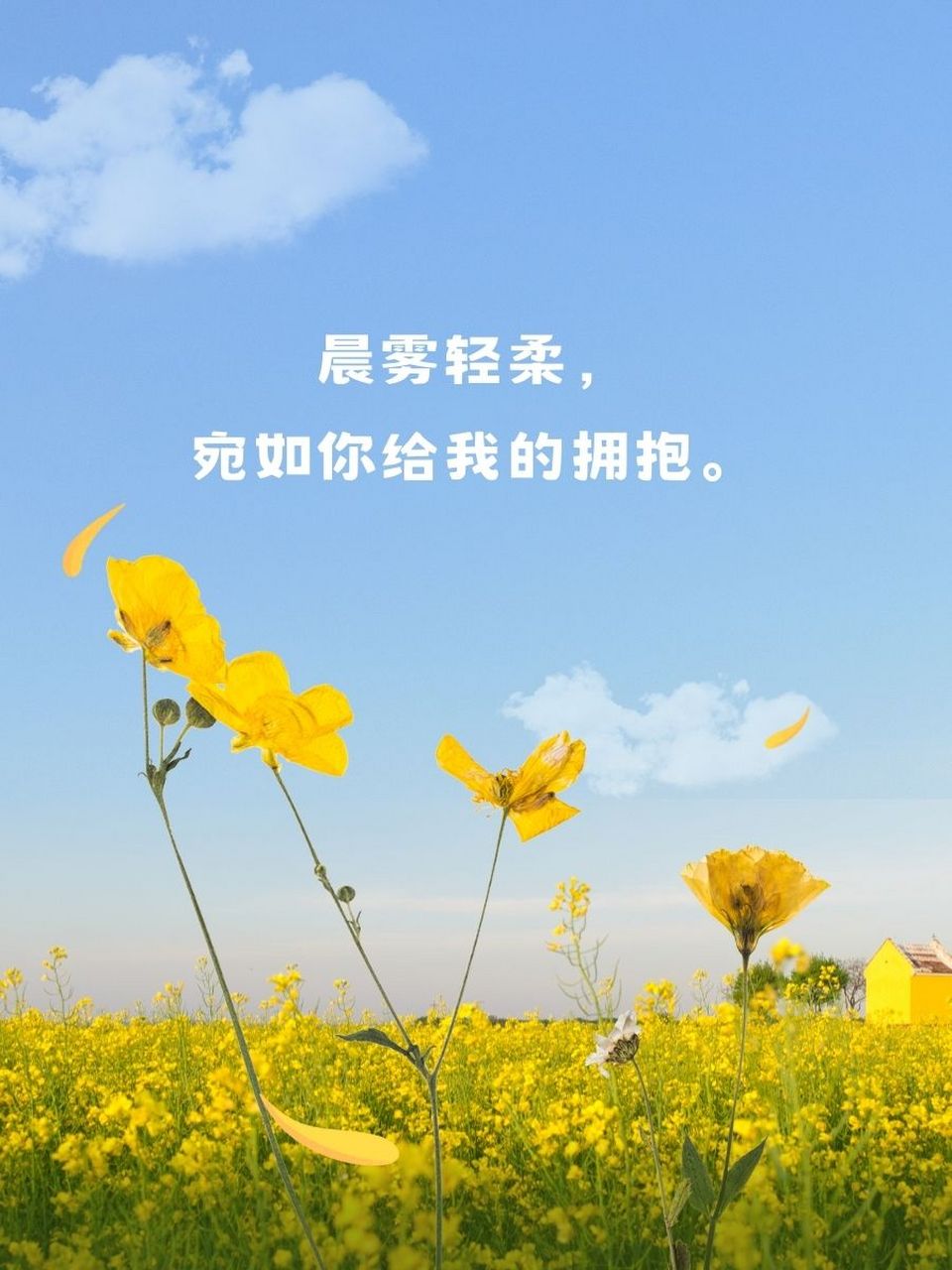 期待美好的唯美句子 99 星空璀璨,每一颗都是我对你的期盼.