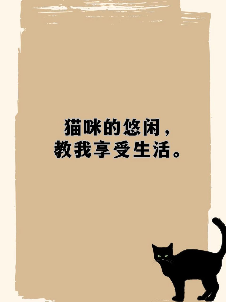 猫咪图片 唯美文字图片