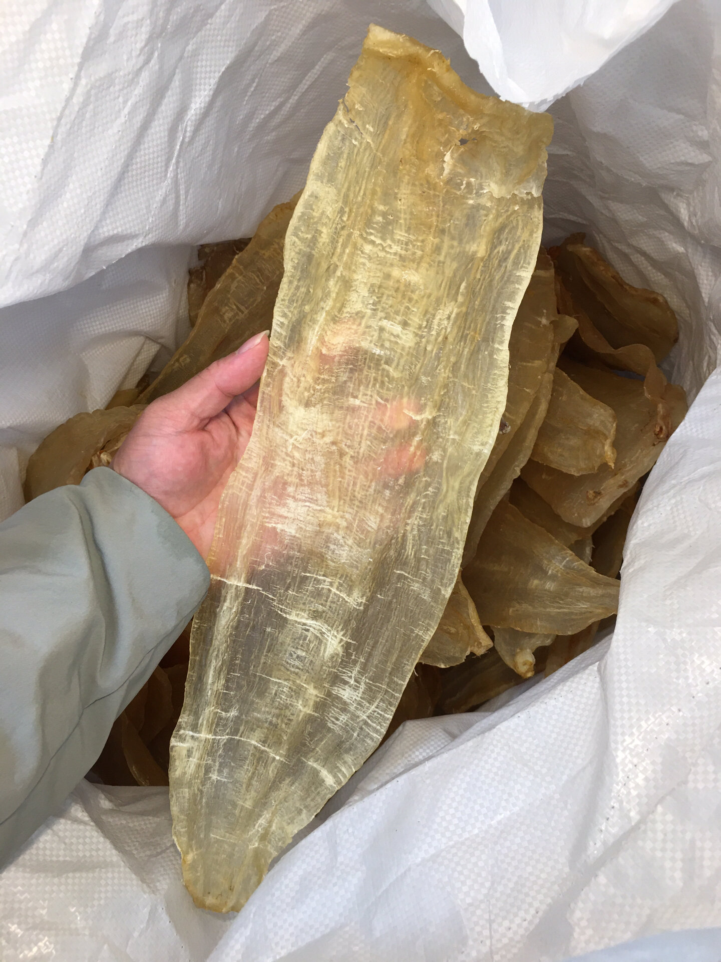 除了养胃,补气血补充胶原蛋白之外,竹叶胶主治支气管和咳嗽,大人小孩