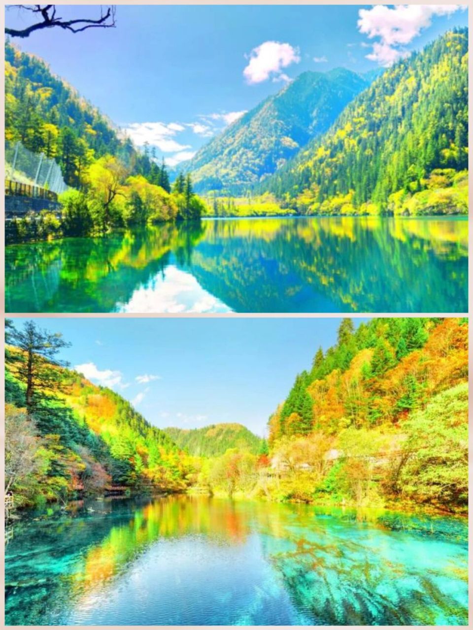 金秋十月,九寨沟一年四季最漂亮的季节来了 7815九寨归来不看水"