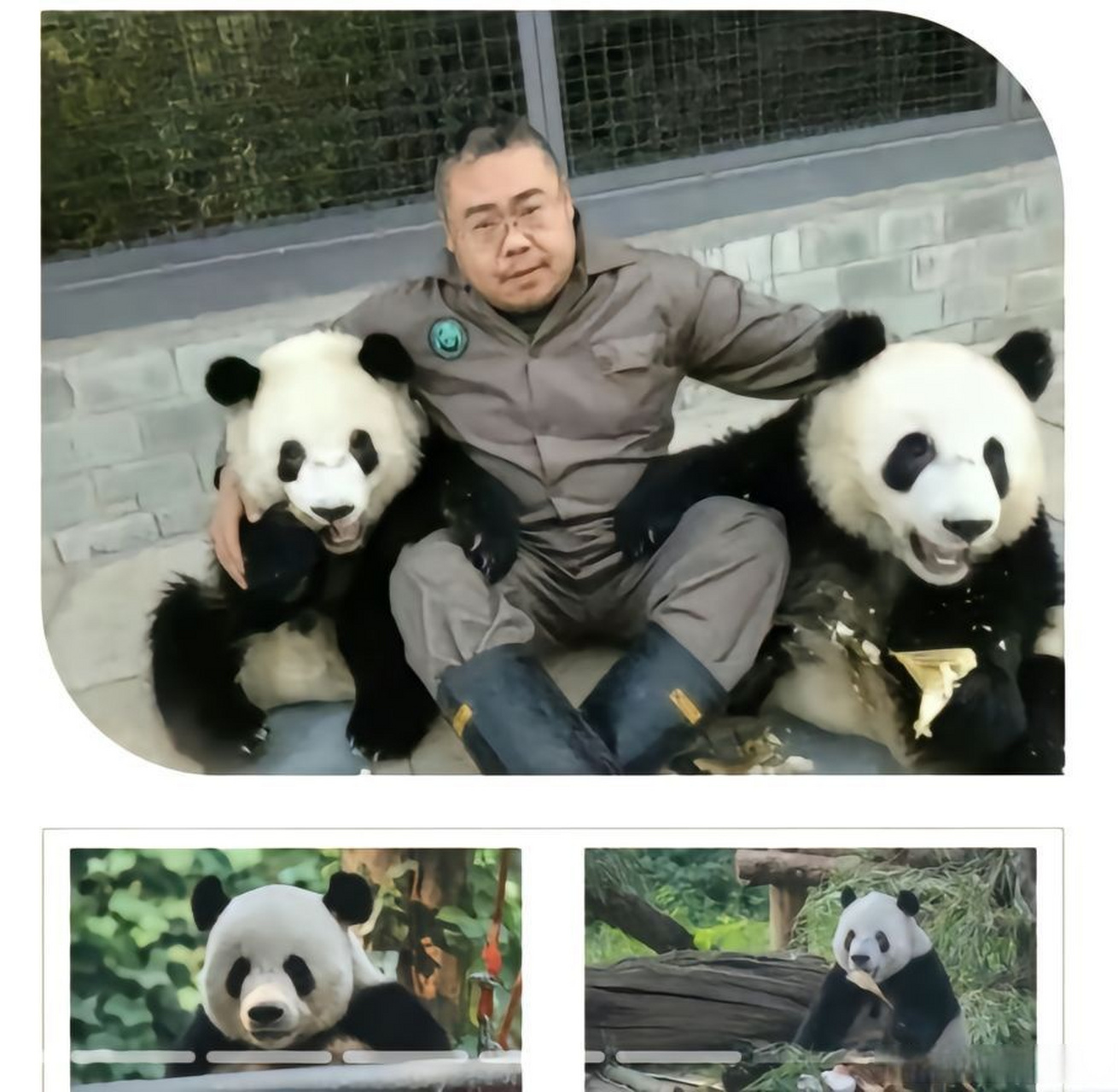 丫丫有了专属的名字李大丫##丫丫有自己专属的奶爸了#看到现在丫丫被