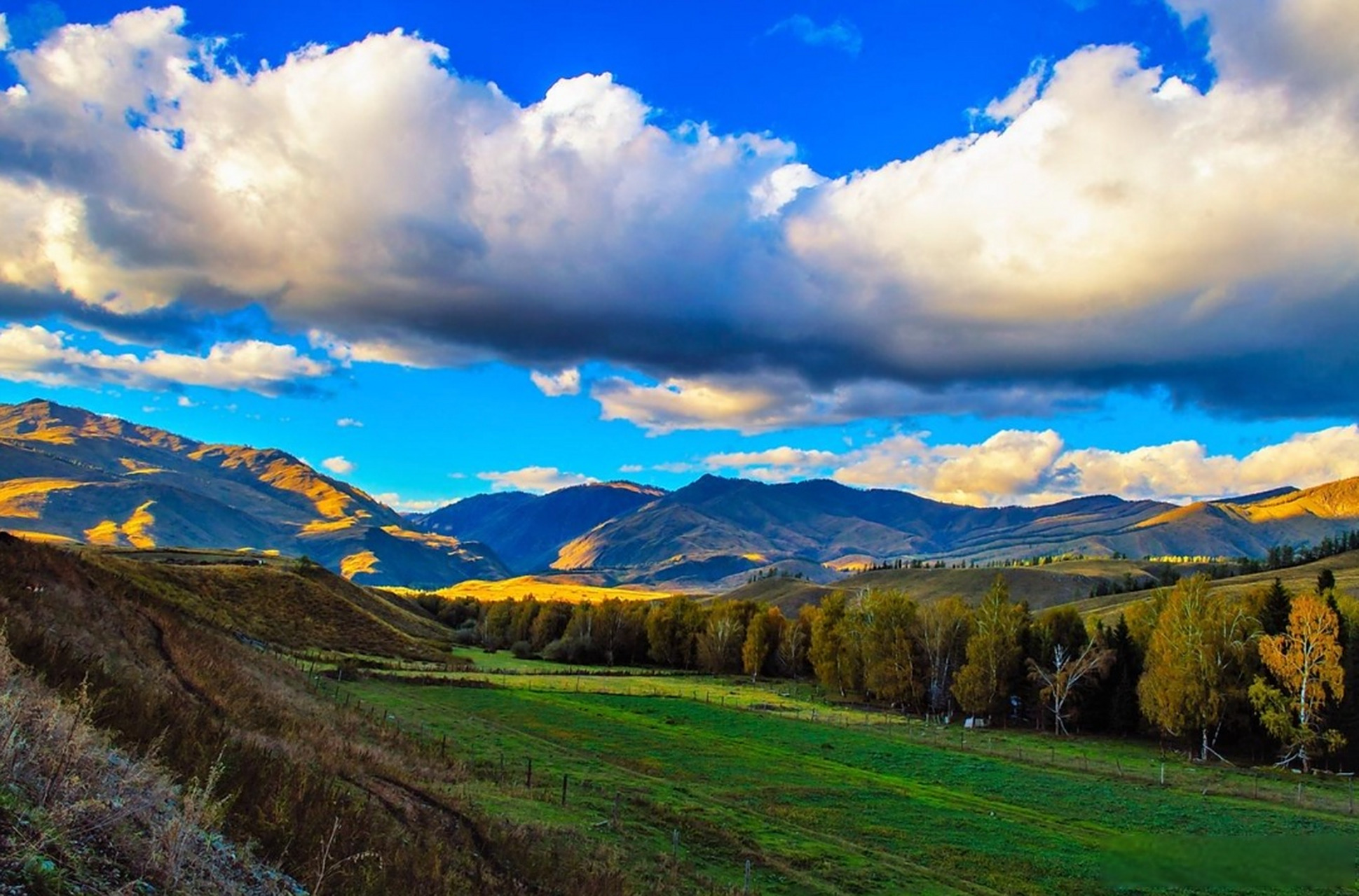 泰旅晚安#  空中草原位于新疆阿勒泰地区白哈巴景区,是白哈巴最大的