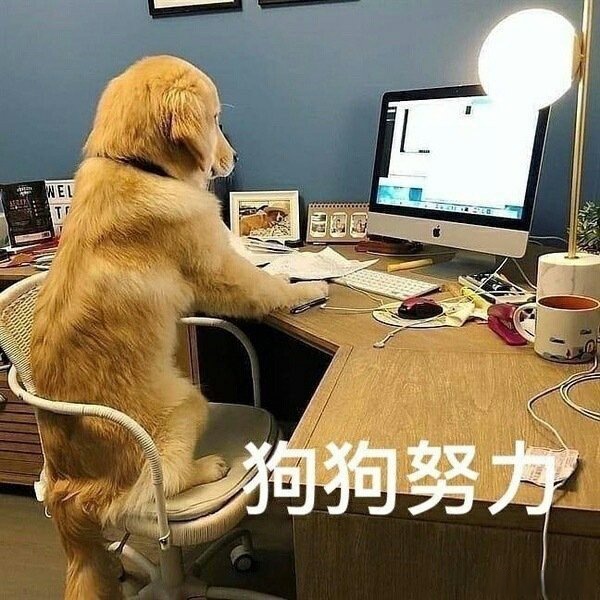 淦表情包