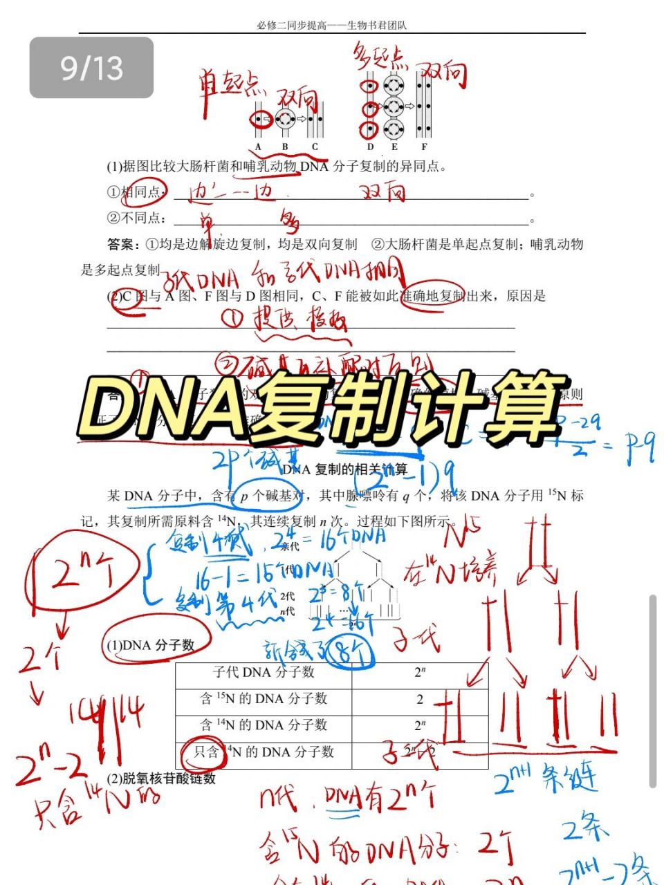 dna半保留复制计算图解图片