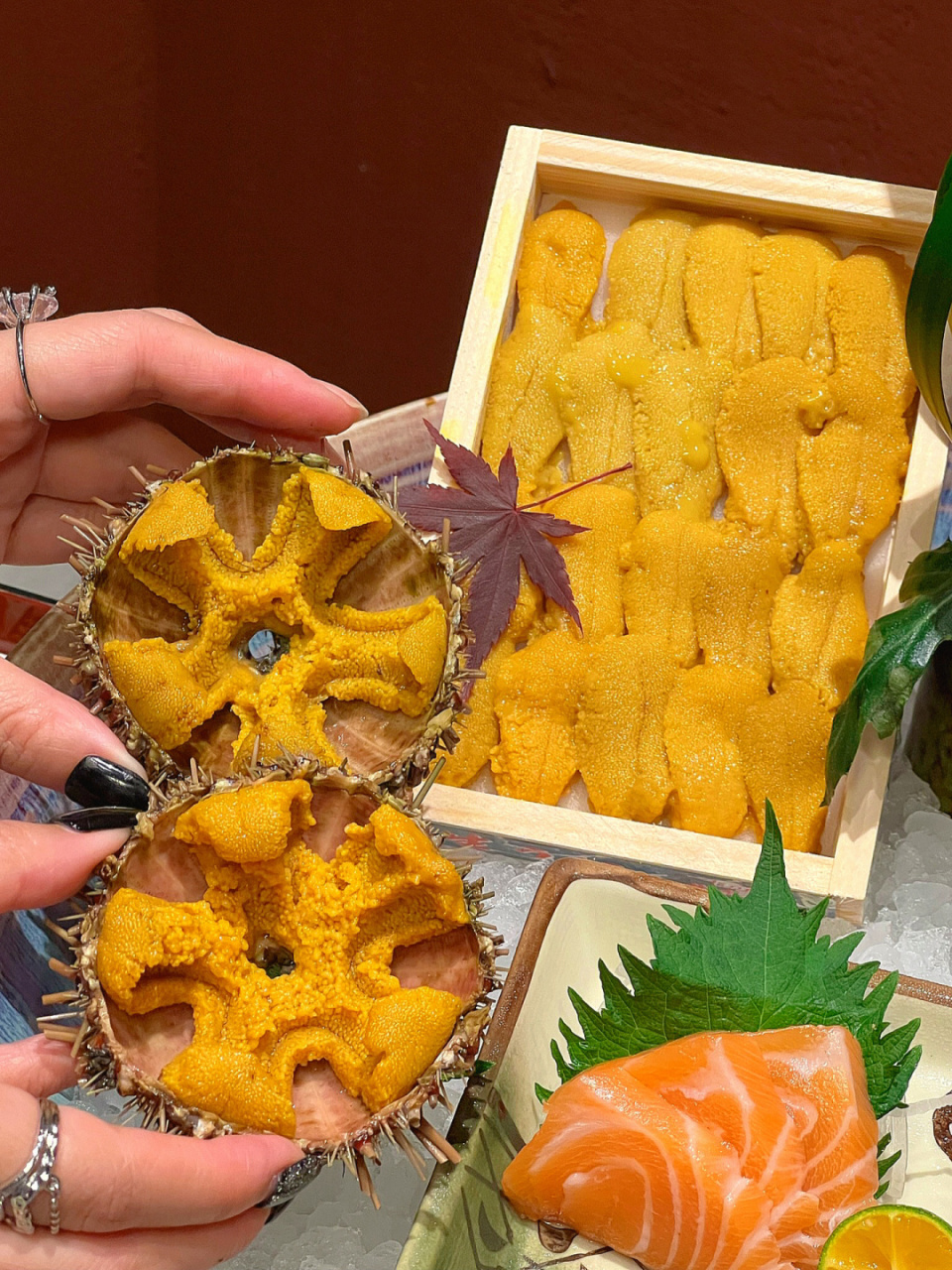 沙拉,刺身拼盘,煎饺,蒸蛋… 	 坠爱用海苔卷包着吃,加上我喜欢的配菜