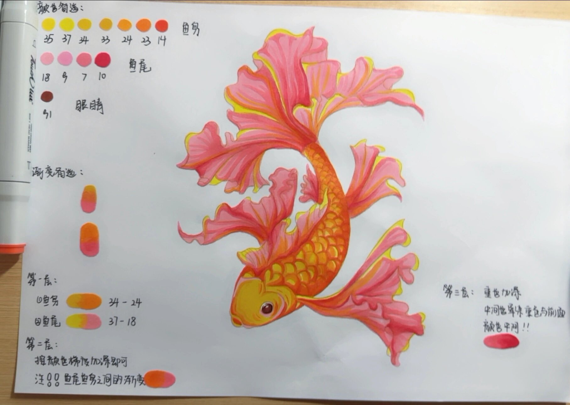 视觉传达万能素材——鱼(上色教程) 主色调选用的黄橙色,粉色做晕染