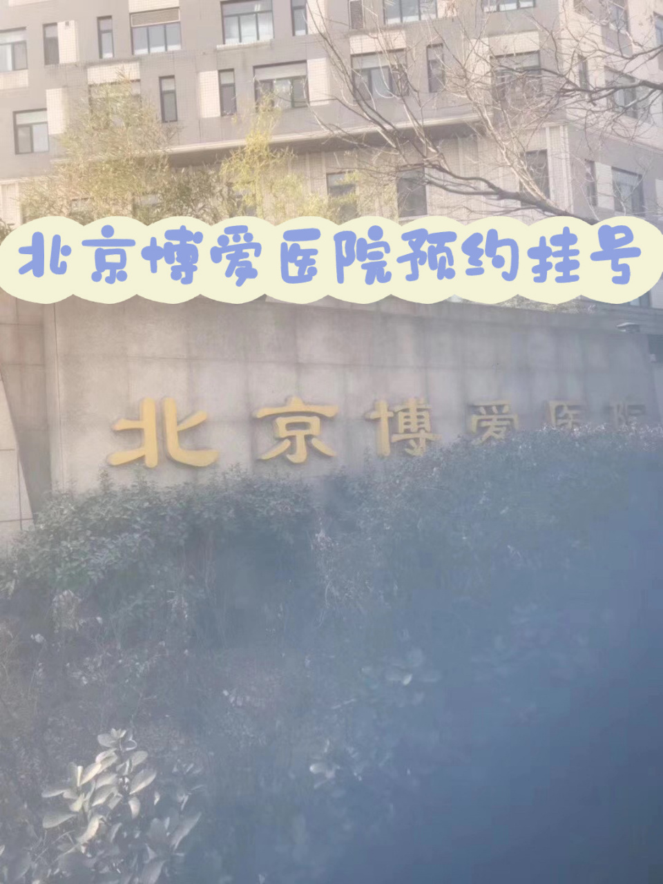 關于博愛醫院掛號無需排隊，直接找我們的信息