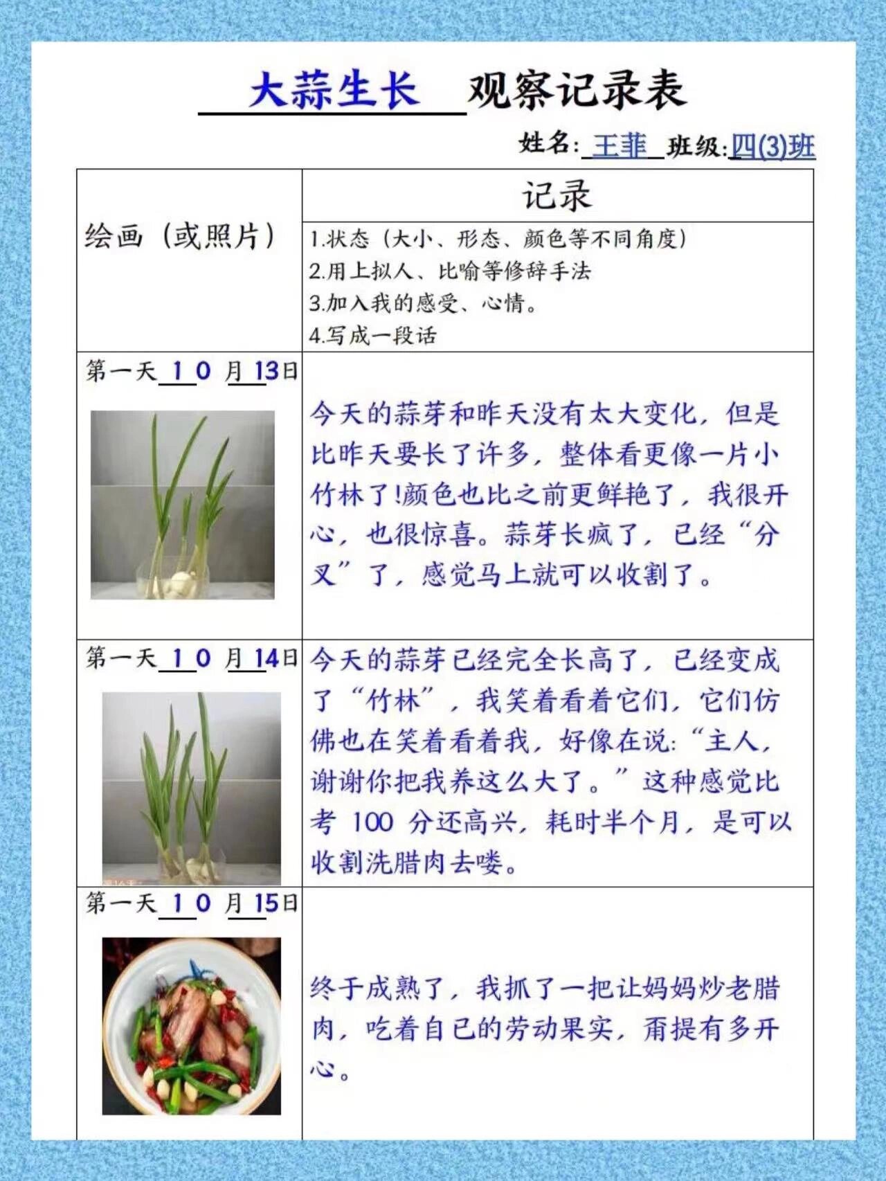 大蒜植物成长记录表图片