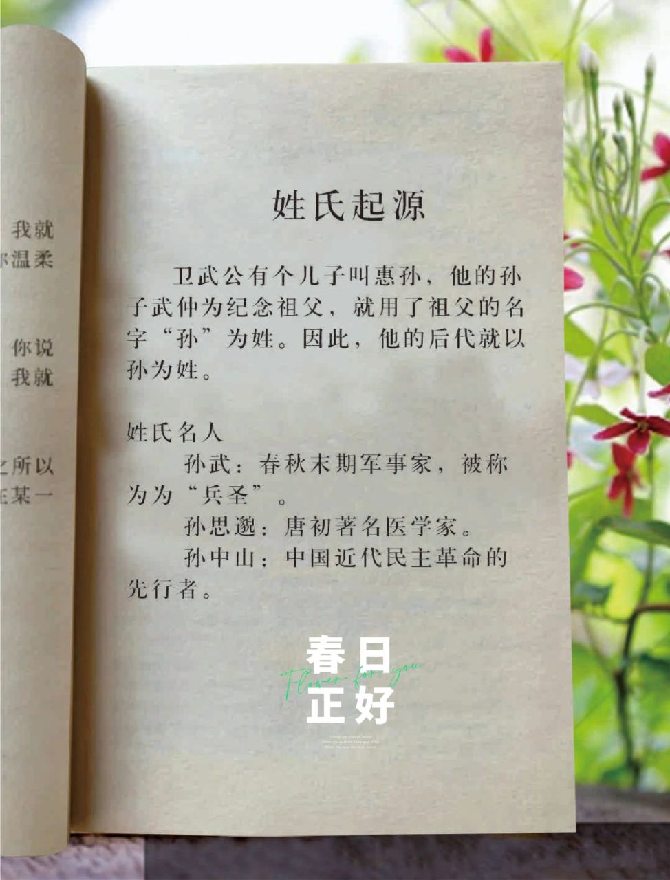 他的孙 子武仲为纪念祖父,就用了祖父的名 字"孙"为姓