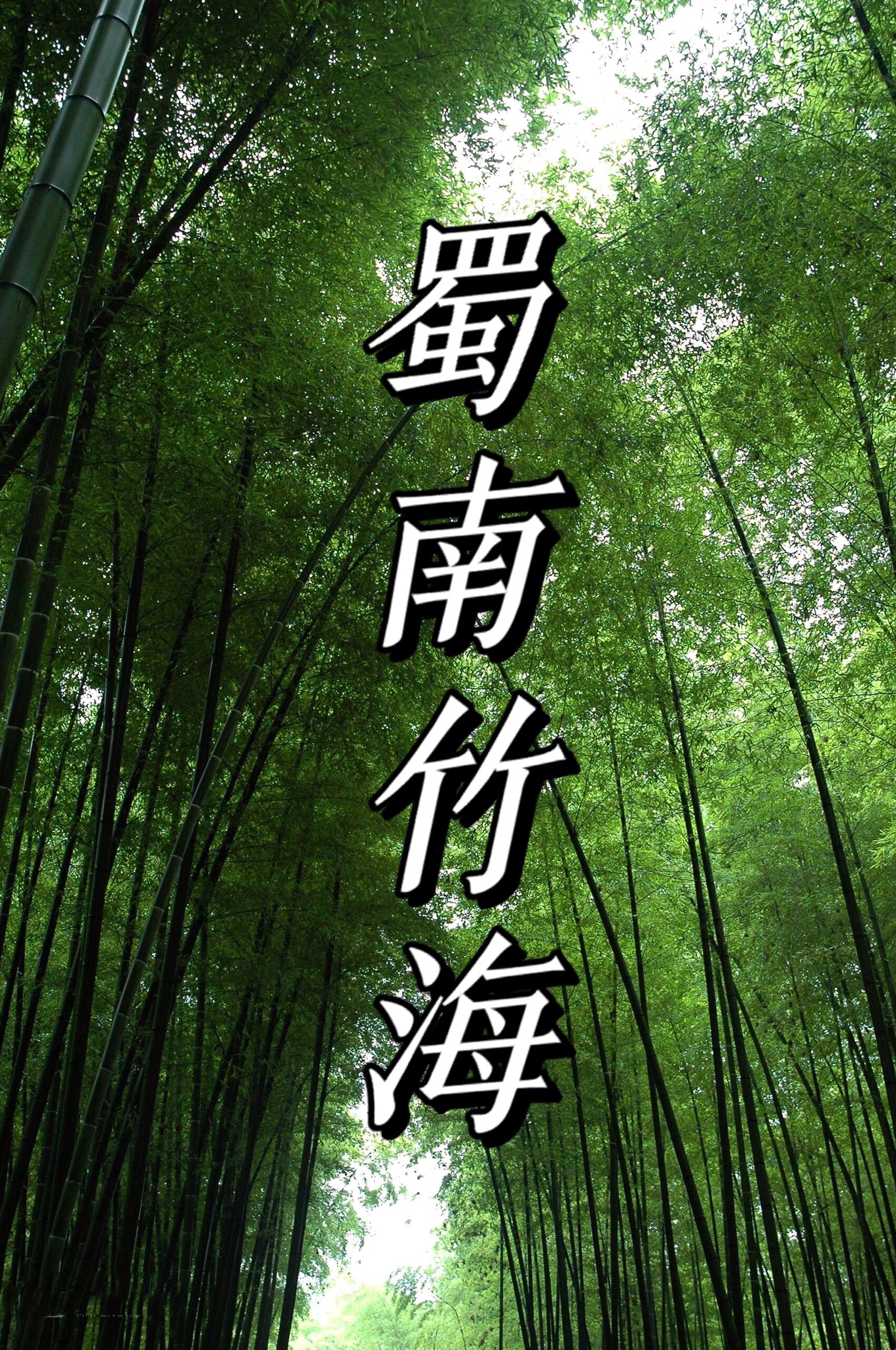 别人以为我去东南亚了😊【蜀南竹海】值得一去