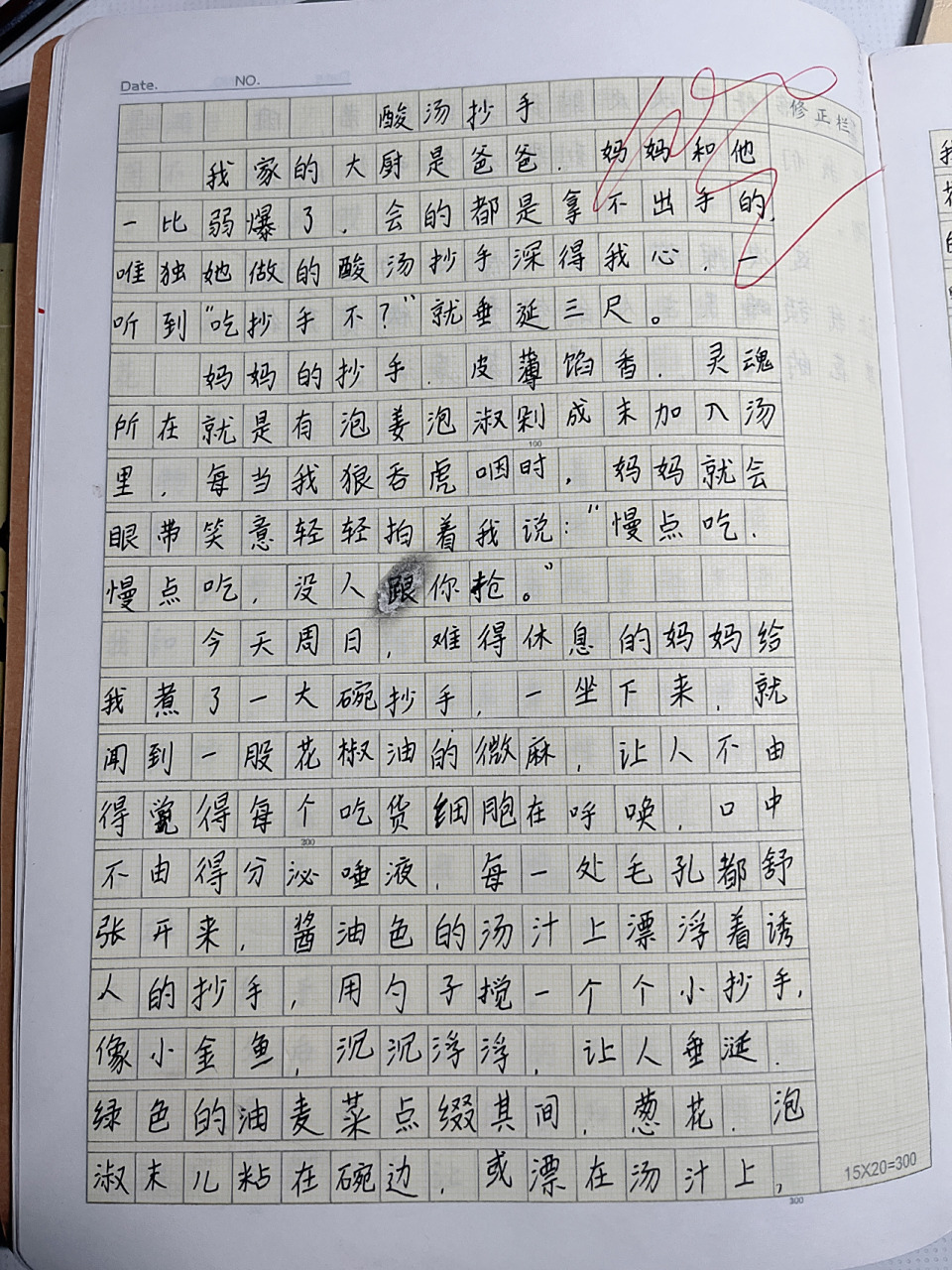 五年级下册周记