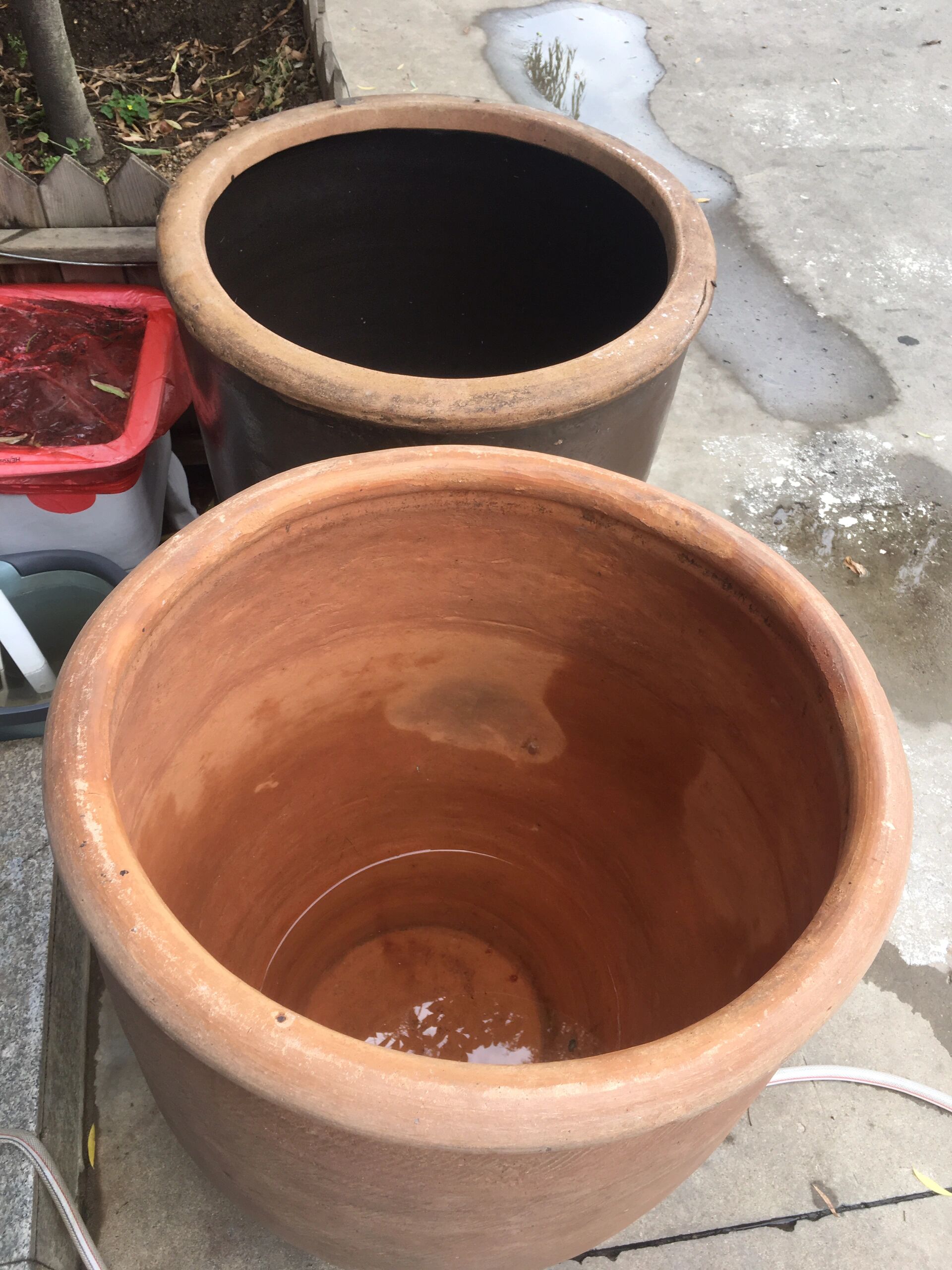 老水缸 大鱼缸 古法养鱼 莲花缸