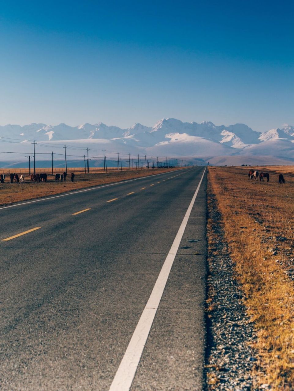 独库公路07自驾最美中国公路 90 自驾独库公路,即217国道独捎子