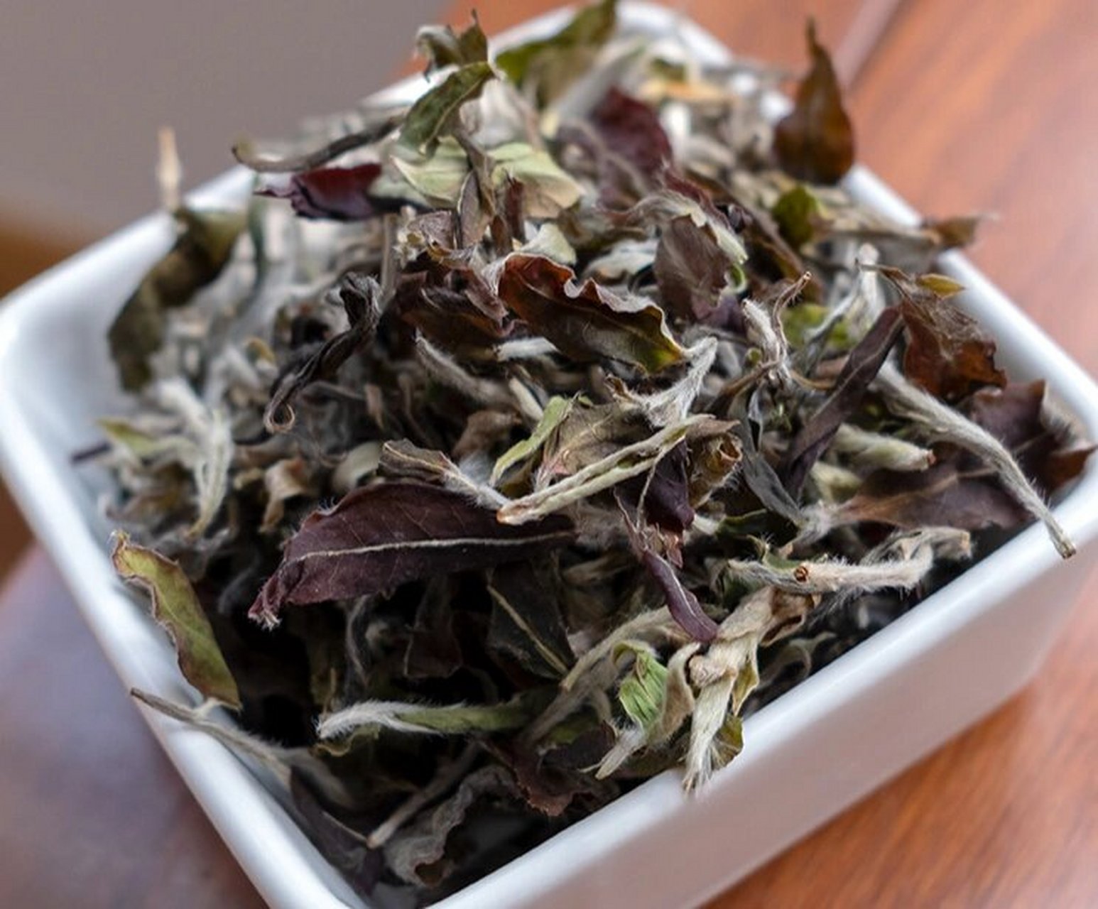 2022年,滑竹梁子野生白茶.(习茶记) 2022年,滑竹梁子野生白茶.