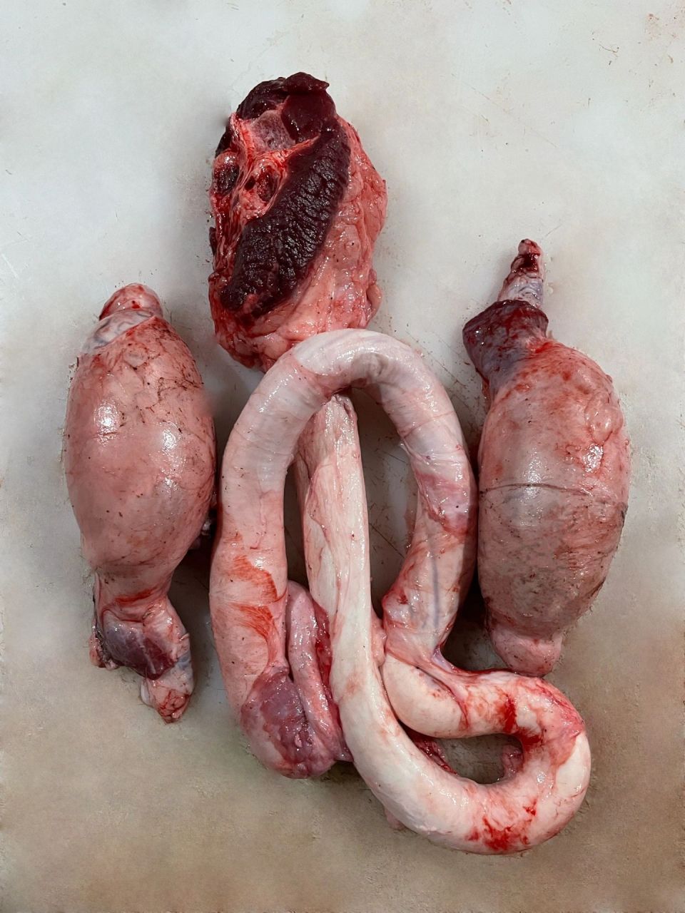 其实新鲜牛鞭进行清洗,除筋步骤后,真空后冷冻是可