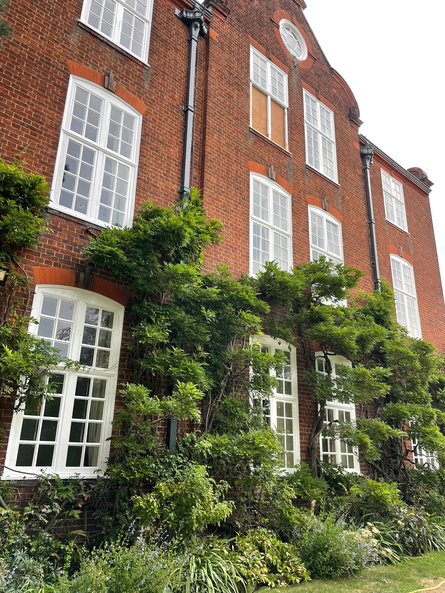 剑桥大学塞尔文学院的后花园