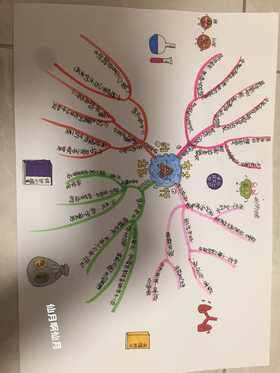 寒假作业,《灰尘的旅行》思维导图.