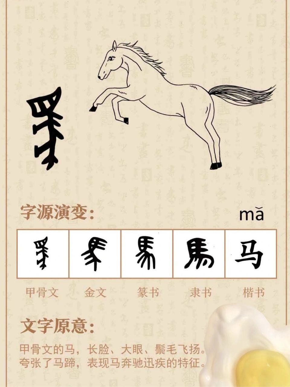 说文解字|【马】对人类历史影响最大的动物 6015甲骨文的马就是