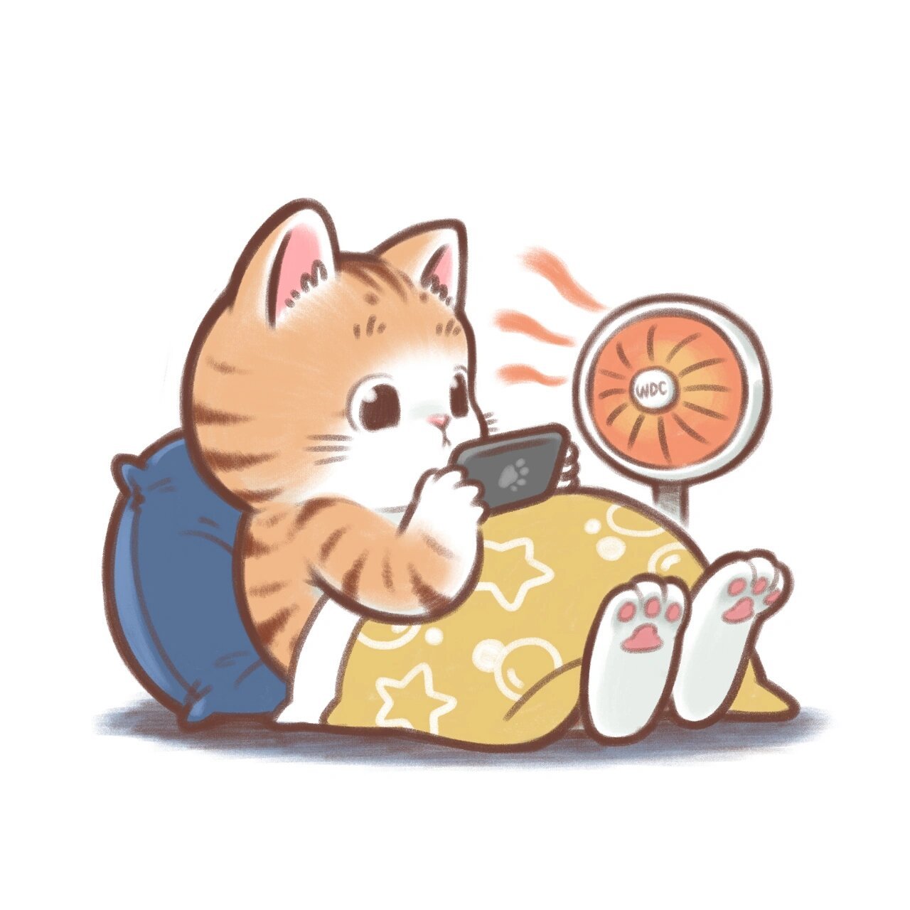 玩手机的猫咪头像表情送给大家959595 出镜:小白 大橘 奶牛