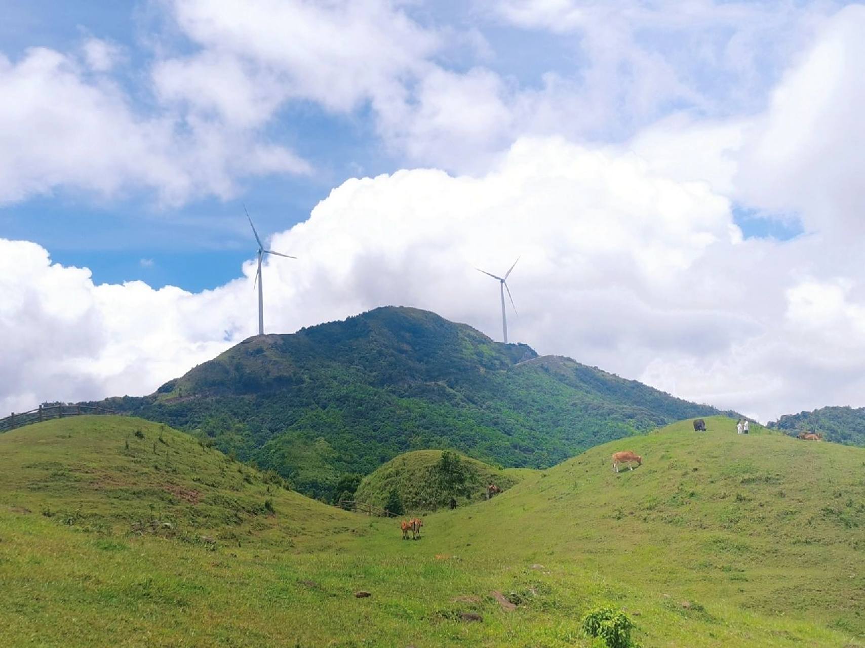 游乐记之岑溪天龙顶公园     天龙顶(原名土柱顶)位于岑溪市南渡镇吉