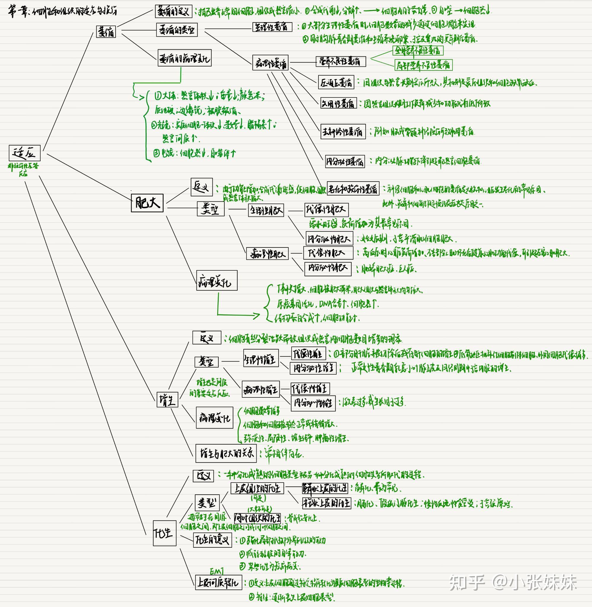 病理学肿瘤思维导图图片