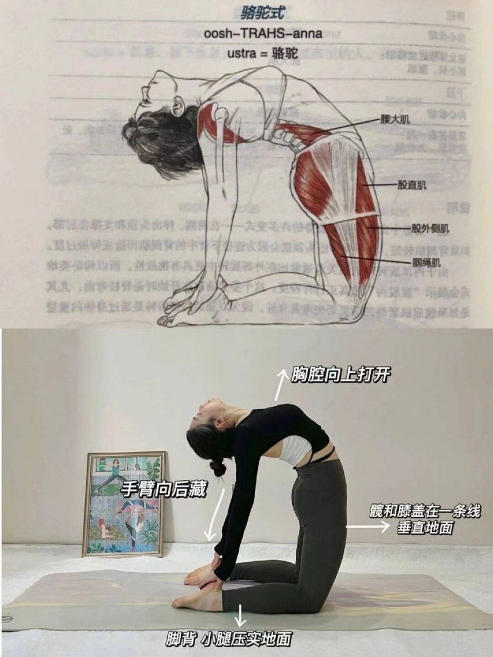 躺床上就能练的回归体态动作 胭绳肌 腰背自然放松 额头点地 臂垂向