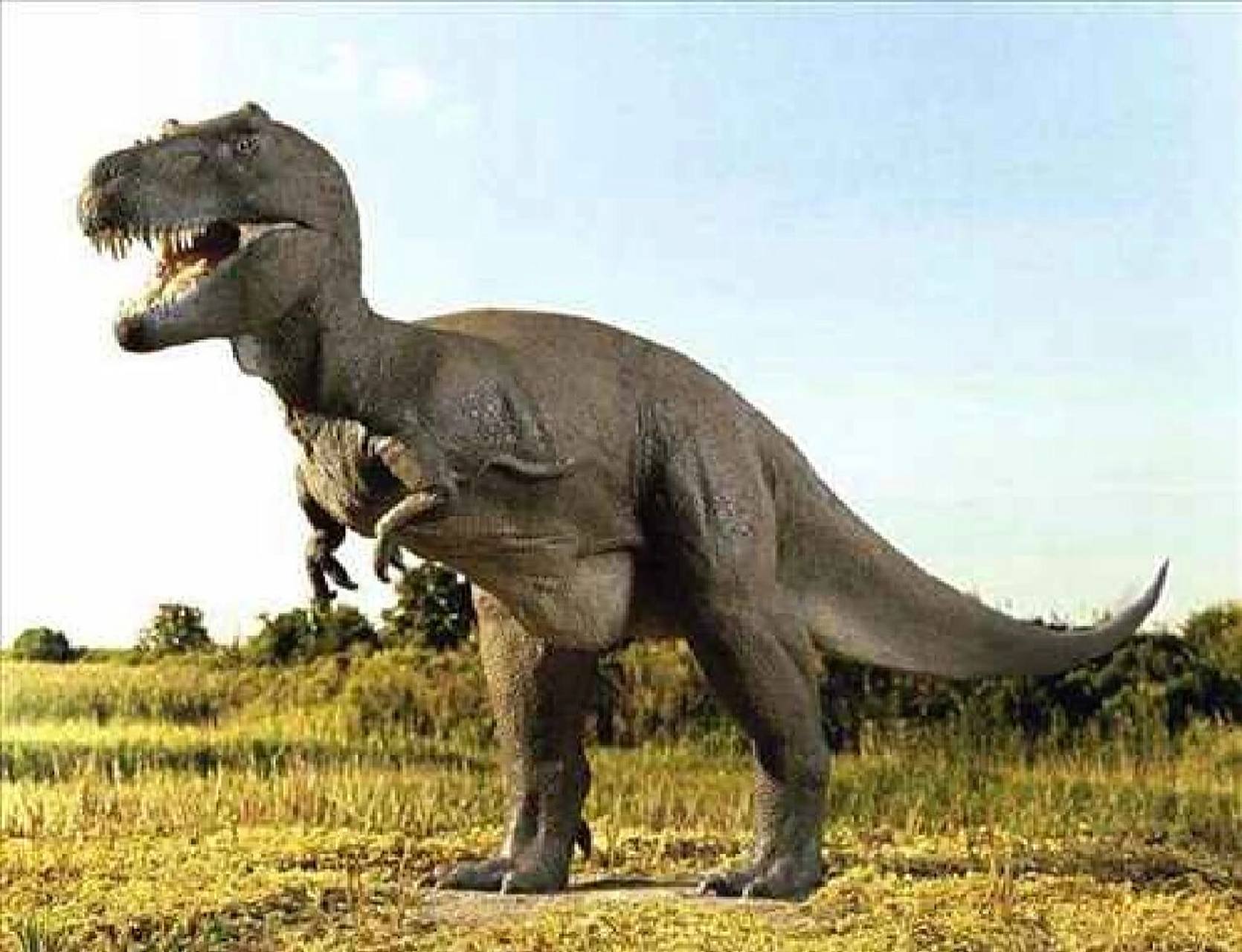 霸王龙vs迅猛龙谁更强 在恐龙称霸的时代,有两大恐龙是战斗力非常的