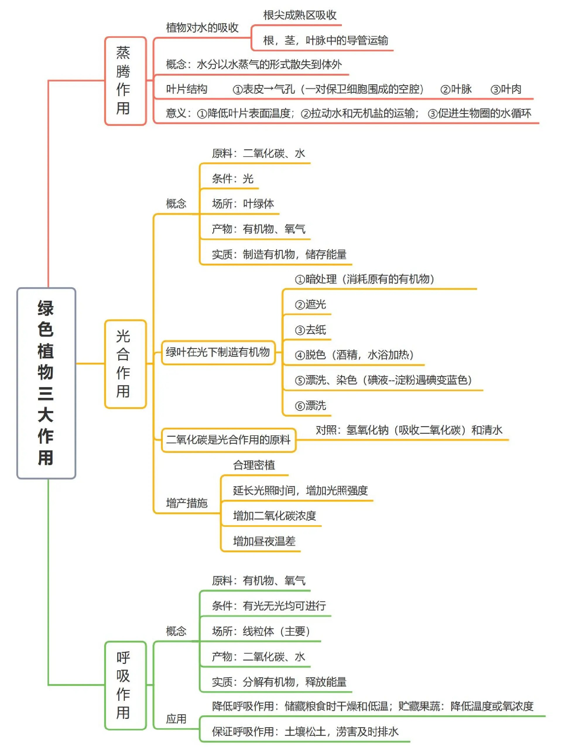 种植活动思维导图图片