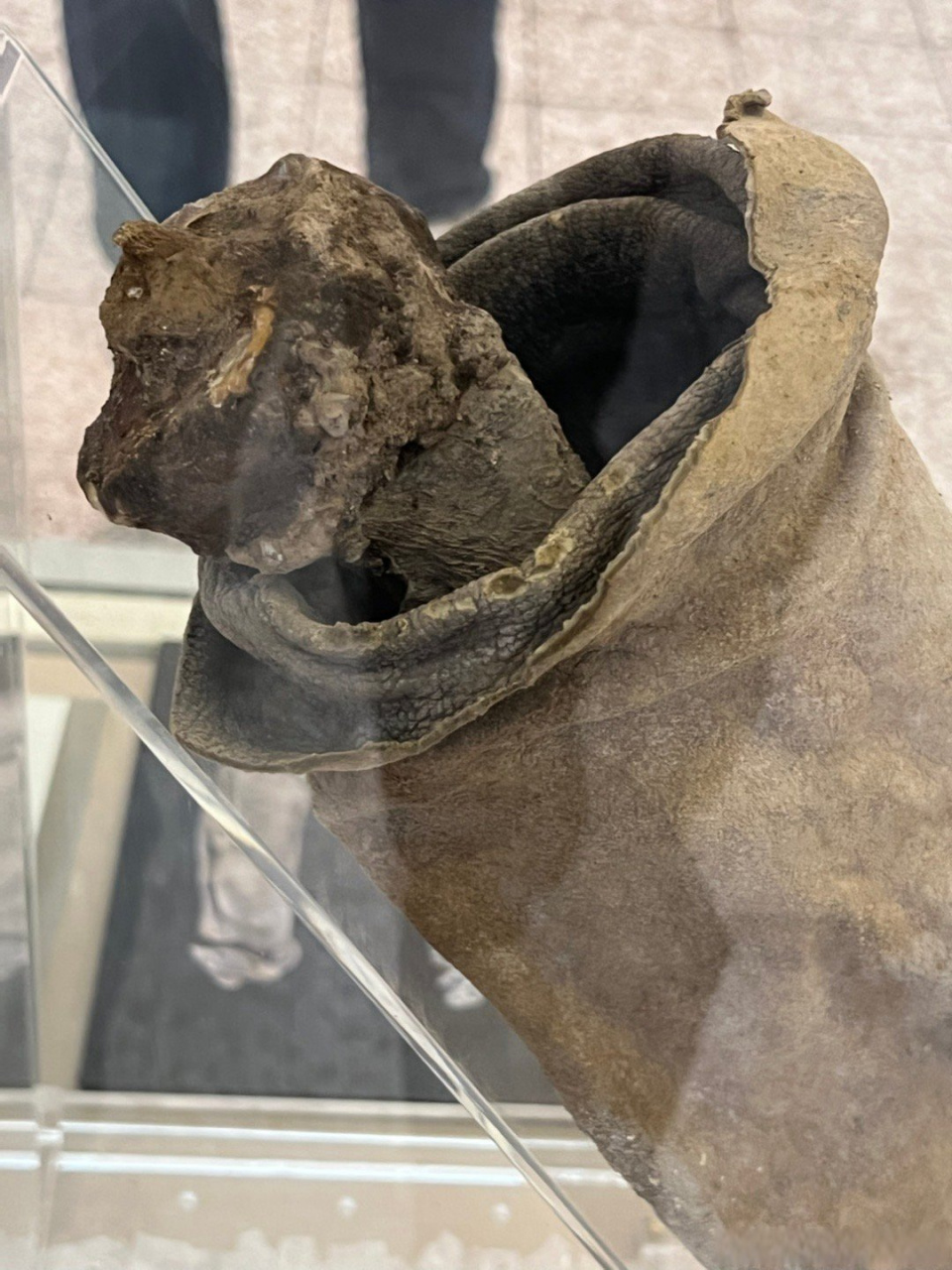 这具木乃伊于1734年被三名矿工发现.