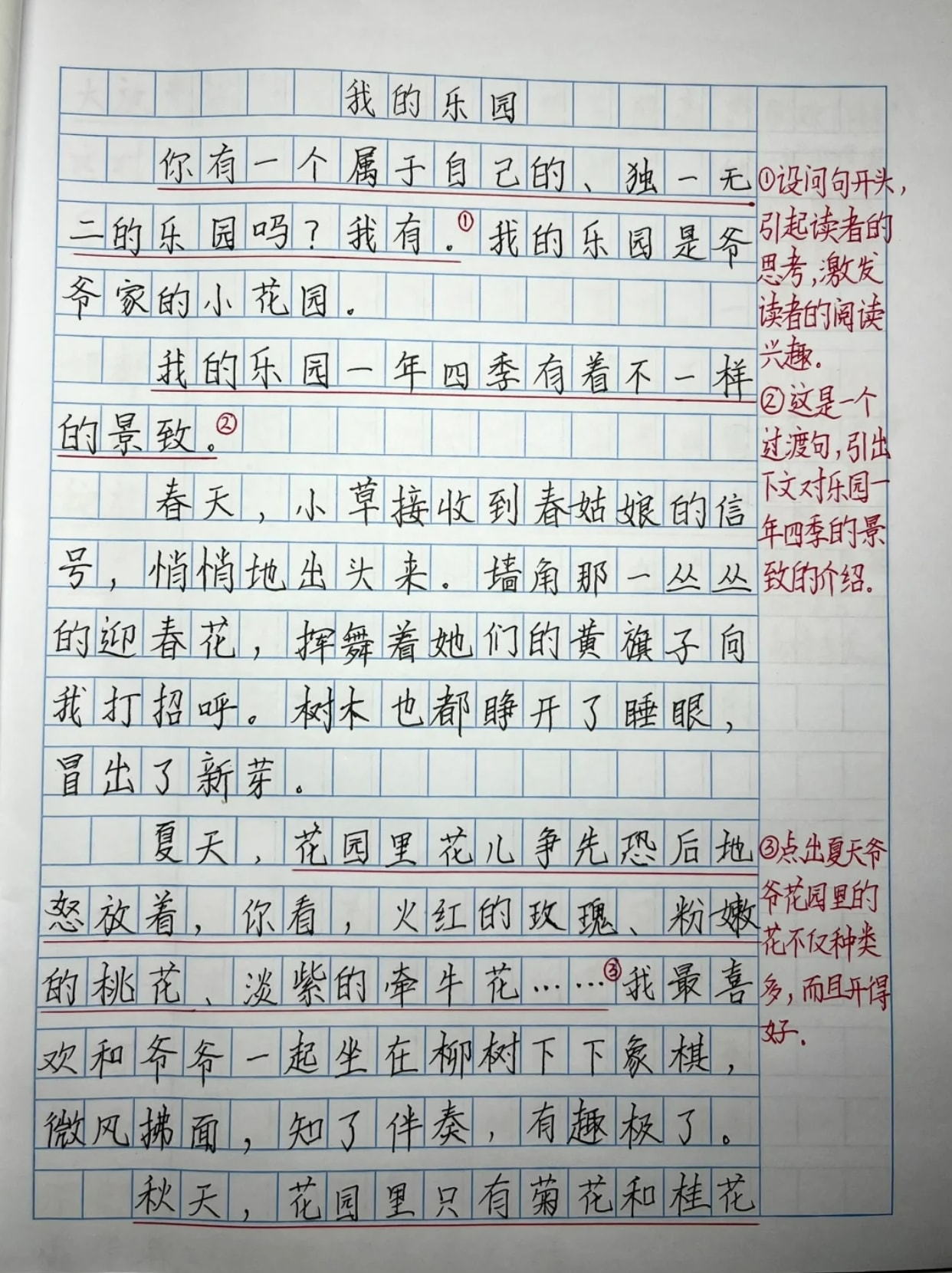 我的乐园作文300字