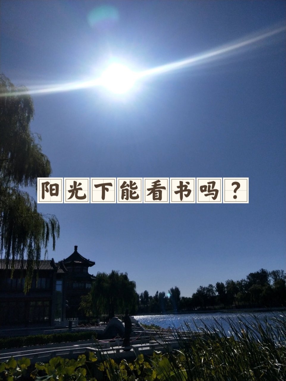 阳光下可以看书吗?