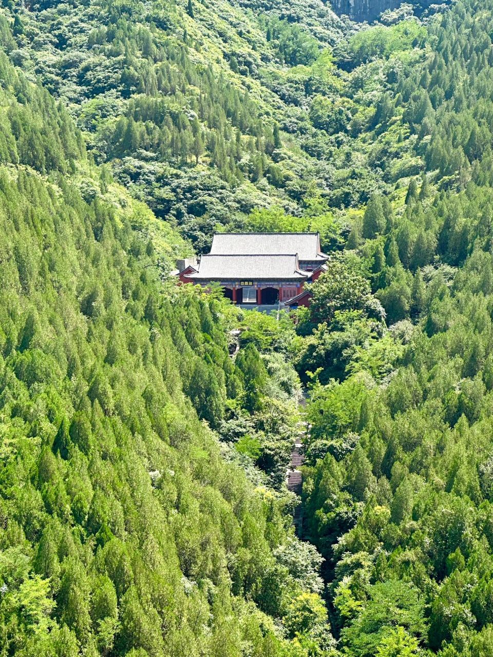 山东省内游|天缘谷,儒释道三教圣地 天缘谷内汇聚儒释道三家之长,是儒