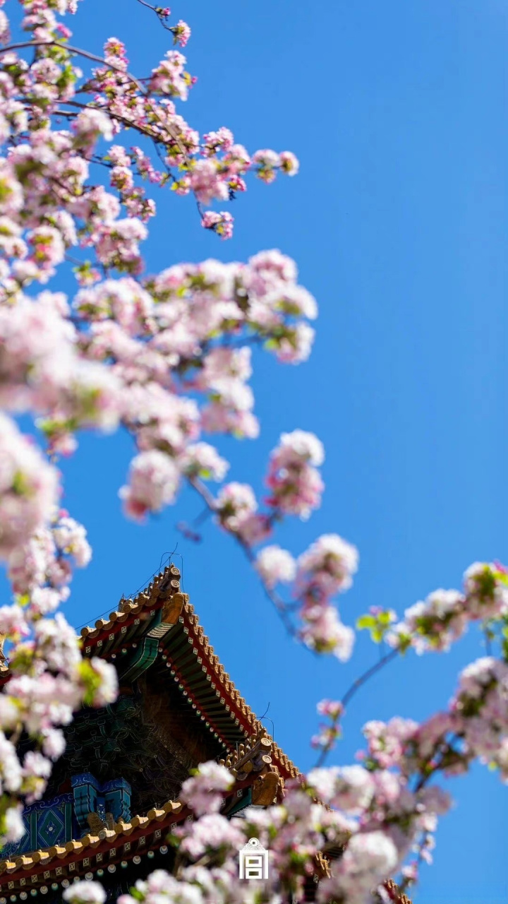 早安# 古之知法者能省刑,本也;今之知法者不失有罪,末矣.