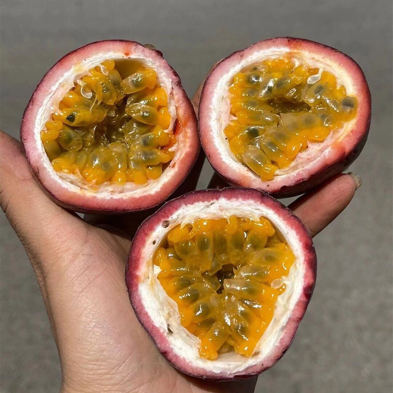 高山紫香一号百香果 当你遇上百香果, 尝试过就会喜欢上她的香, 贪恋