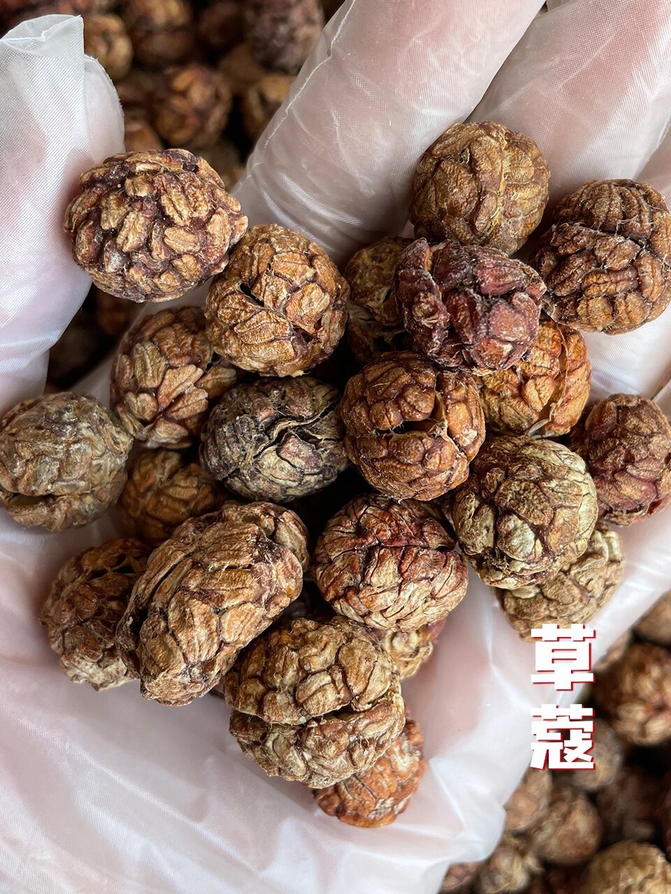 味枢香料|卤水常用香料:肉蔻,草寇和草果 🟢肉豆蔻 🌟🌟🌟