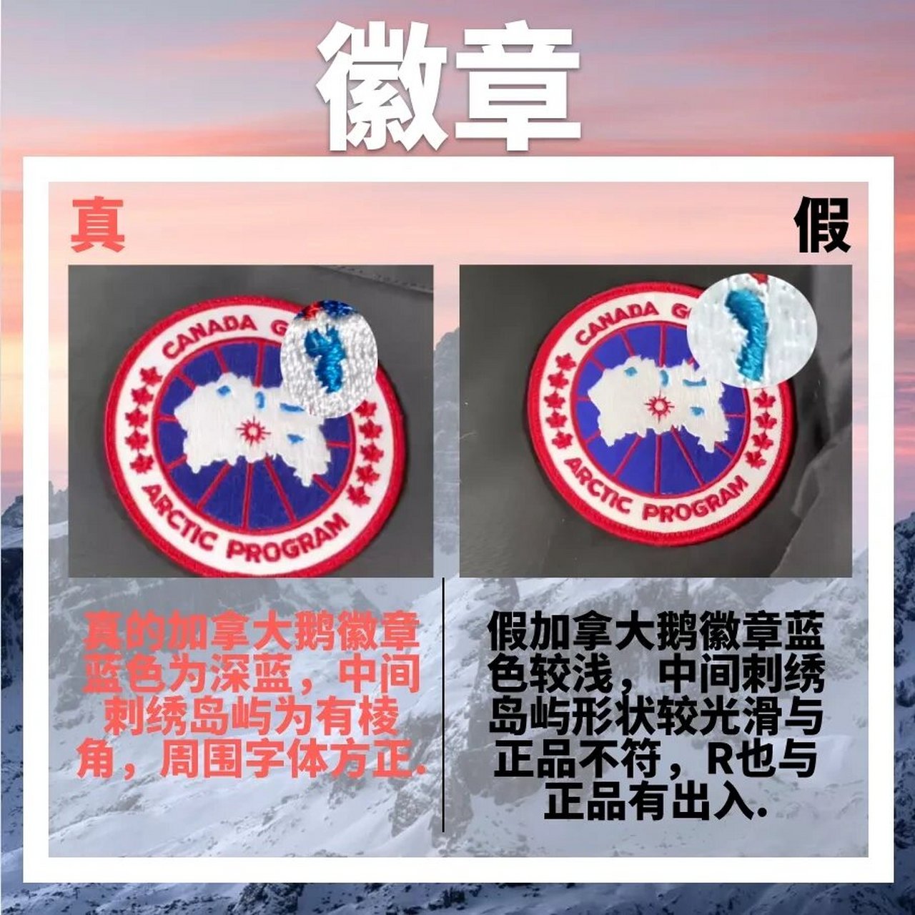 鉴别情报局丨加拿大鹅真假对比!