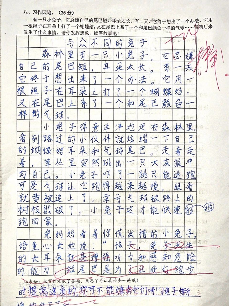 兔子的外貌描写100字图片