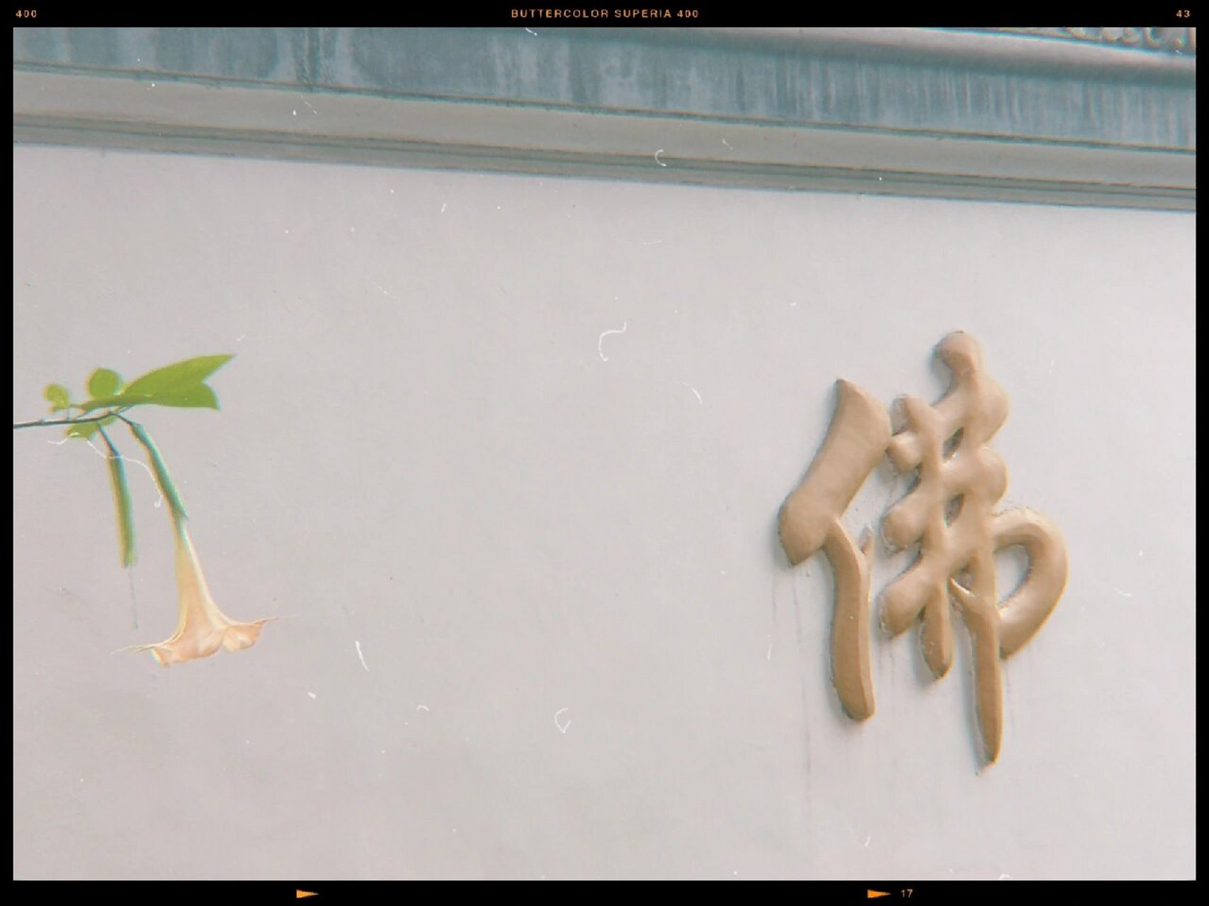 四川崇州高山寺秋游 心旷神怡 一点儿商业气息都没有 有机缘可以和