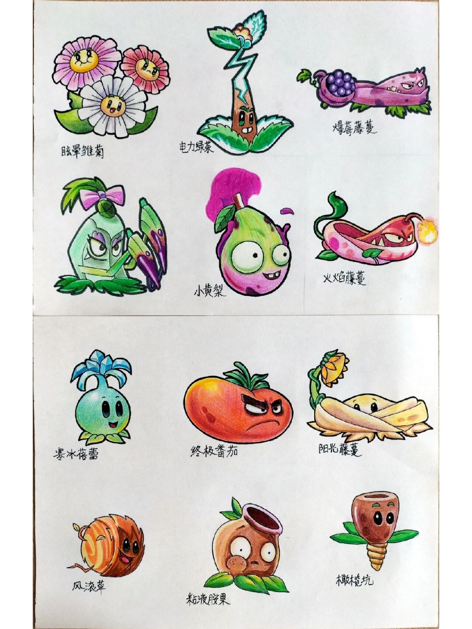 植物大战僵尸怎么画 简笔画