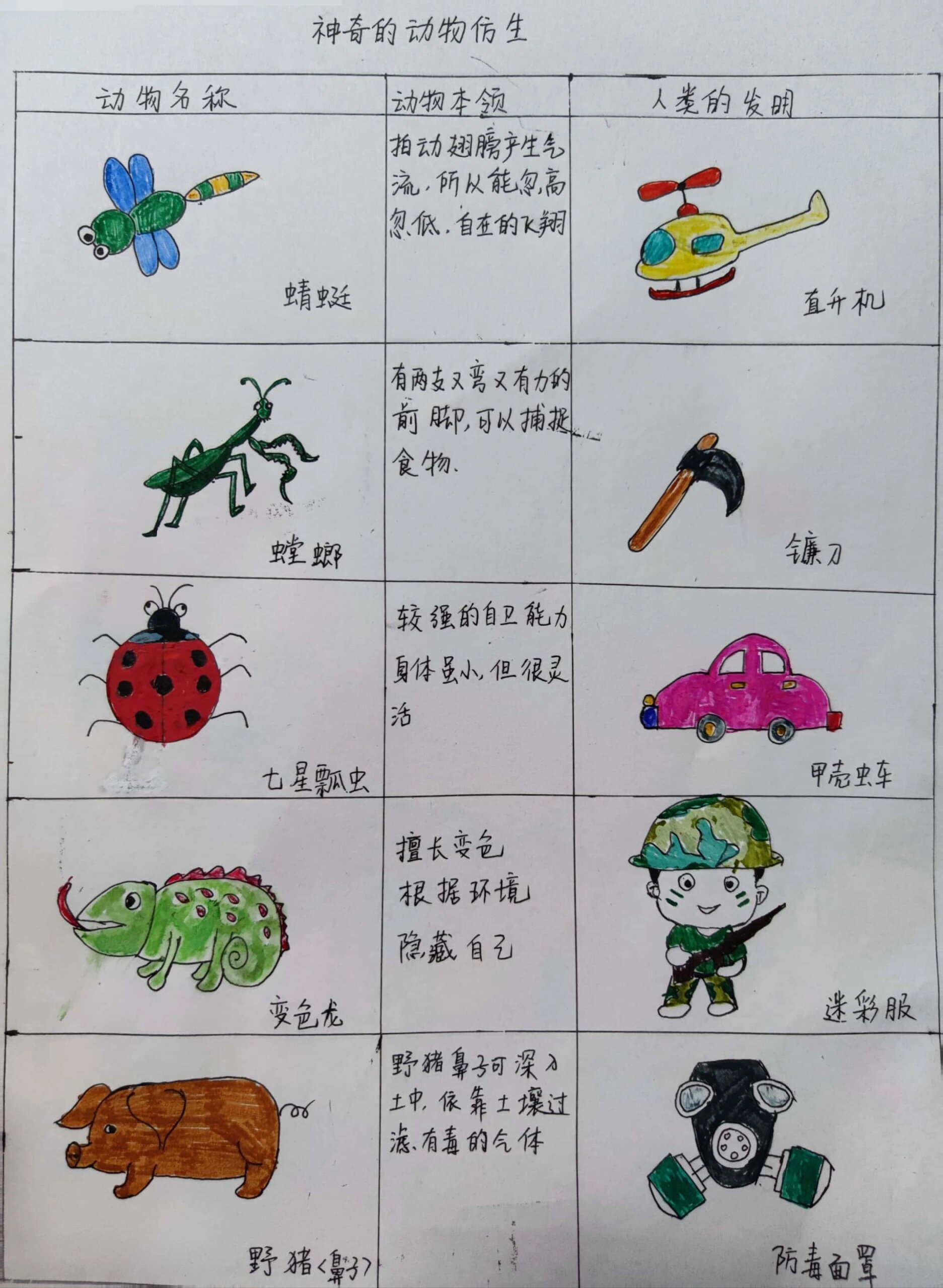 神奇的动物仿生 #动物#仿生#幼儿园